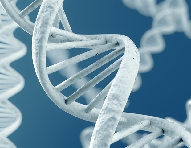 Breakthrough platform reveals the choreography of mammalian transcription