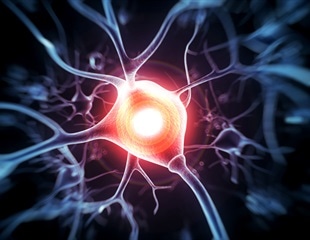 Psilocybin may provide long-lasting relief from chronic nerve pain