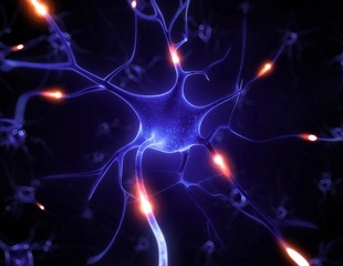 Gene mutation that aids high-altitude survival could repair myelin sheath damage