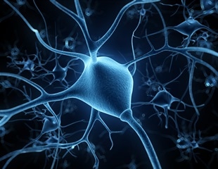 Gene mutation that aids high-altitude survival could repair myelin sheath damage