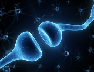 Novel computing platform models brain cell changes in autism
