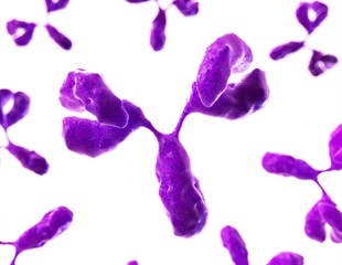 High affinity for immune receptors predicts antibody drug associated anaphylaxis risk