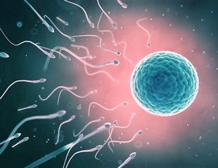 Cooperative sperm may improve fertilization success across diverse arthropods