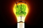 Creating fuel from photosynthesis