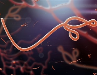 WHO launches PARTNERS clinical trial for Bundibugyo virus treatments