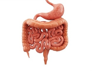 New genetic driver found for rare small intestinal cancers