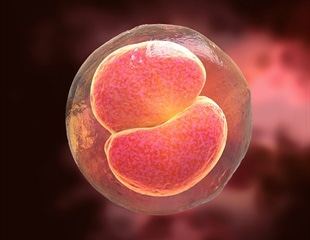 Blocking xenophagocytosis improves donor cell survival and interspecies organ generation