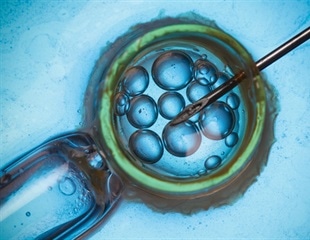 Optically invisible culture dishes improve embryo imaging in IVF