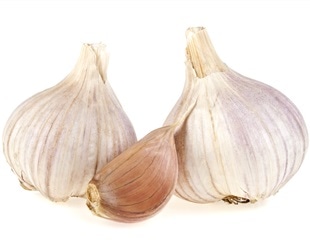 Yale study finds garlic acts as birth control for mosquitoes