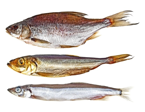 Local sardines and anchovies could reshape Britain’s seafood consumption habits