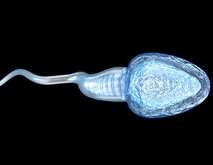 Study: Hepatitis E virus may be both sexually transmitted and linked to male infertility
