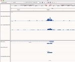 Chromatrap publishes new article comparing efficiency, sensitivity of native and cross-linked ChIP-seq kits