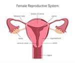 What is Pelvic Inflammatory Disease?