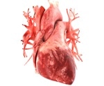 Small molecule restores normal heart development in animal model with rare genetic disorder