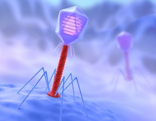 Researchers map structural changes of viruses during the dehydration process