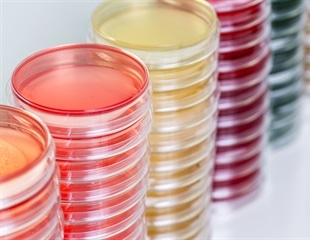 New method based on human blood simplifies mRNA drug development