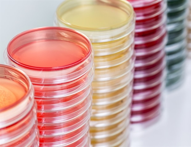 Worms help researchers tackle rare childhood genetic disease