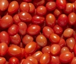 Adding a tomato concentrate to the diet can reduce intestinal inflammation related to HIV