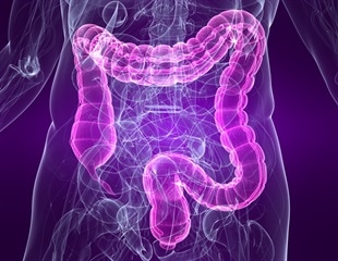 Obesity study reveals gut fat's unique inflammatory role and immune cell richness