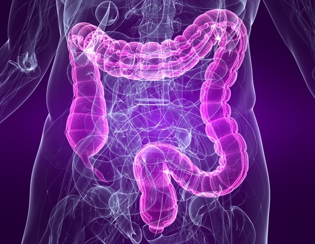 Gut microbiota regulates intestinal epithelial cell function and plasticity