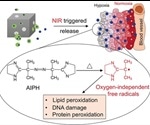 Researchers develop hybrid nanomaterial for destruction of cancer cells