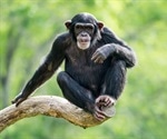 Researchers trim count of human genes to 20,000-25,000