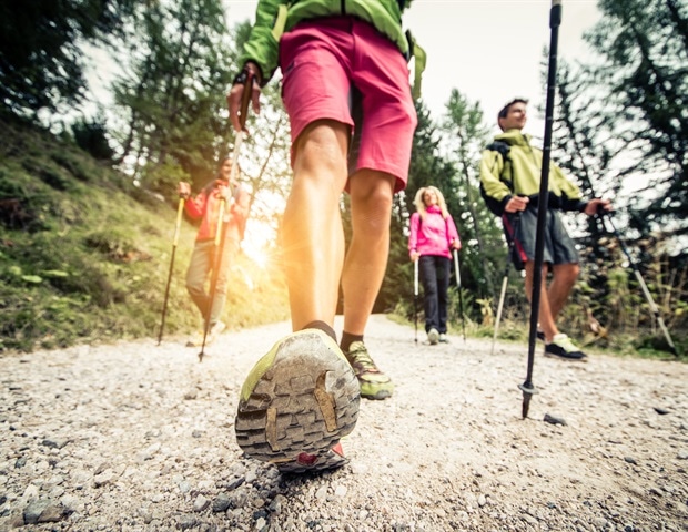 Slower arm movements increase fall risk in older adults
