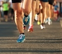 Research uncovers trade-offs in aging muscle stem cell functionality