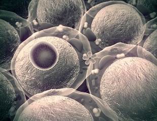 New protein-based therapeutic tool could change the way we treat diseases