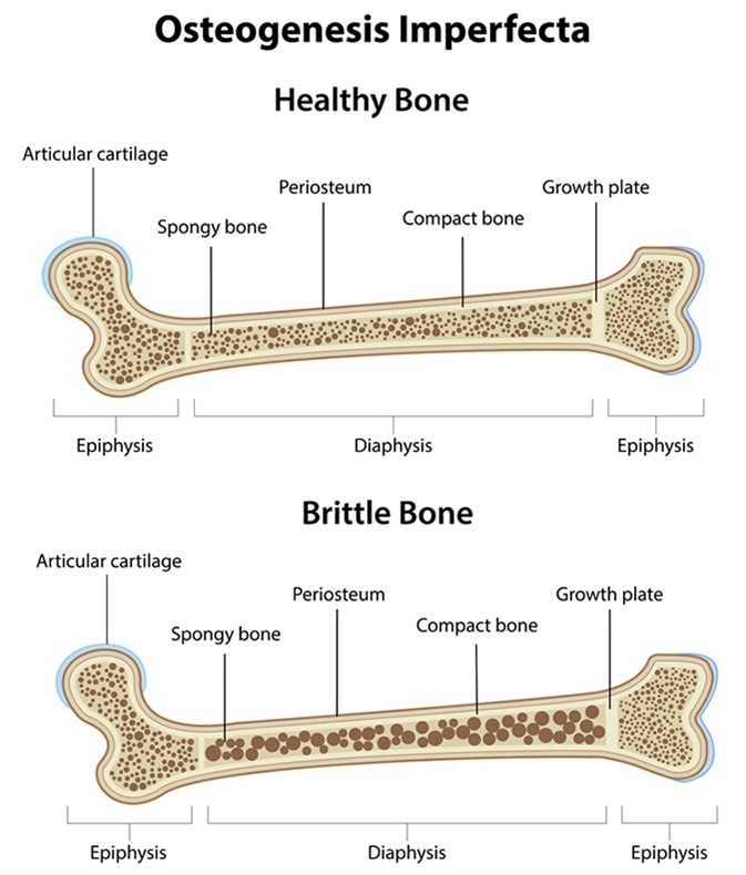 https://www.news-medical.net/image-handler/picture/2017/6/%40shutterstock_248936854_%281%29.jpg