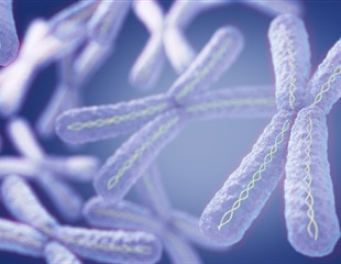 Researchers develop mouse model of rare human birth defect