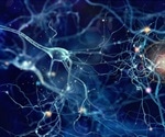 Study finds evidence on preventive interventions for cognitive decline and dementia