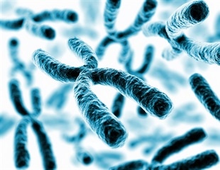 Advances in X chromosome inactivation open therapeutic opportunities for X-linked genetic disorders