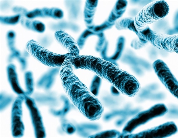 New study maps early genetic disruptions in Rett syndrome