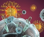 Cow immunization may lead to new human vaccines and treatments for HIV, study finds