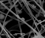 Applications of Electron Microscopy