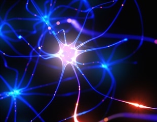 Researchers develop drug that supports cellular traffic jam theory in ALS/FTD