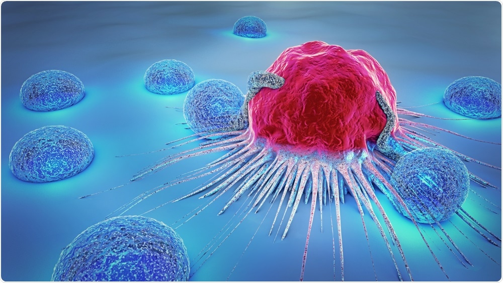 Immune cells in the body - Christoph Burgstedt