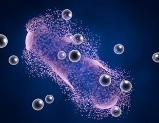 UMass Amherst researcher wins $2.5 million  to expand nanoparticle cancer vaccine study