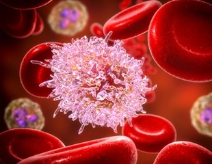 New genetic screening method unlocks insights into human development