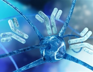 Antibody profiles offer insights into long Covid cognitive symptoms