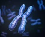 Detection of Histone Proteins Using Western Blot Protocol