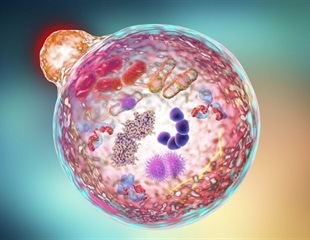 Scientists map genetic changes controlling the immune sensor STING