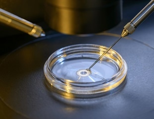 Doctors receive permission to carry out first “three-person baby” procedure in UK