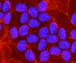 DNA-mimicking synthetic molecule could lead to new HIV treatment