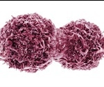 TP53 as a Tumor Suppressor