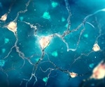 Scientists uncover the role of the ApoE gene in Alzheimer's Disease