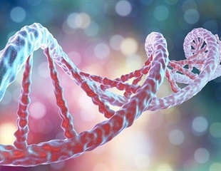 Electrohydrodynamic bioprinting creates living muscle tissues with tightly aligned cells inside