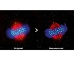 New Olympus cellSens 2.1 speeds up image analysis