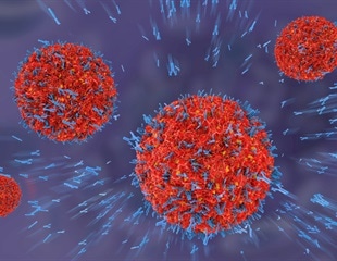 2025 Chikungunya outbreak: A global health challenge